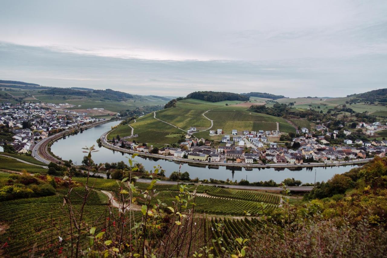 Weingut Und Gaestehaus Zilliken Nittel Exteriör bild